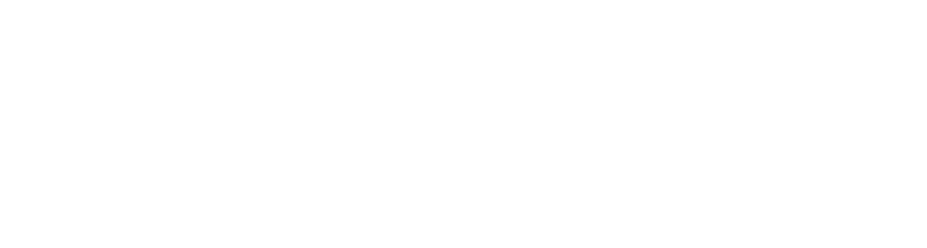 Trofeo Automotive Asset Management